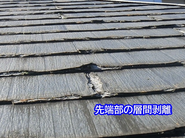 パミール先端部の層間剥離